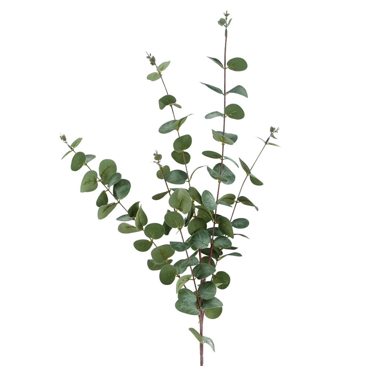 Artificial Eucalyptus Foliage Stem, 100cm – Silk Leaves, Wired for Arrangements