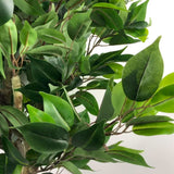 Leaf 110cm Artificial Evergreen Ficus Tree with Decorative Planter – Realistic Multicolour Indoor Plant
