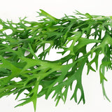 Leaf Pack of 6 Hanging Artificial Staghorn Ferns, 80cm – Realistic Trailing Faux Foliage