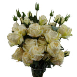 6 x 60cm Cream Rose Artificial Flower Sprays – 24 Flowers 18 Buds