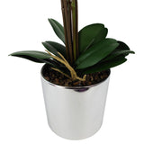 Leaf Design UK 52cm Large Artificial Orchid with Real Touch Flowers & Silver Pot – Dark Pink
