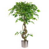 120cm artificial twisted trunk ficus tree