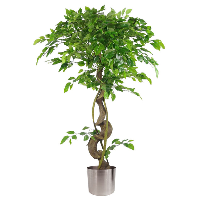 120cm artificial twisted trunk ficus tree
