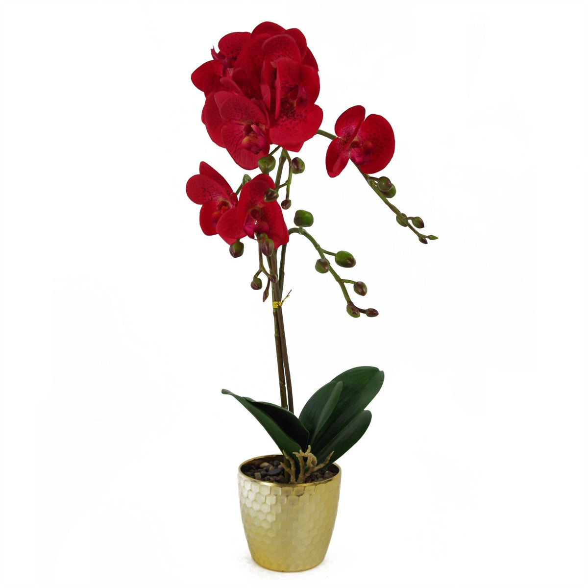 Leaf Design UK 50cm Phalaenopsis Artificial Orchid with Real Touch Flowers & Gold Pot – Red Leopard