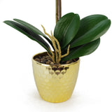 Leaf Design UK 50cm Phalaenopsis Artificial Orchid with Real Touch Flowers & Gold Pot – Red Leopard