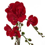 Leaf Design UK 50cm Phalaenopsis Artificial Orchid with Real Touch Flowers & Gold Pot – Red Leopard