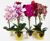Leaf Design UK 50cm Phalaenopsis Artificial Orchid with Real Touch Flowers & Gold Pot – Red Leopard