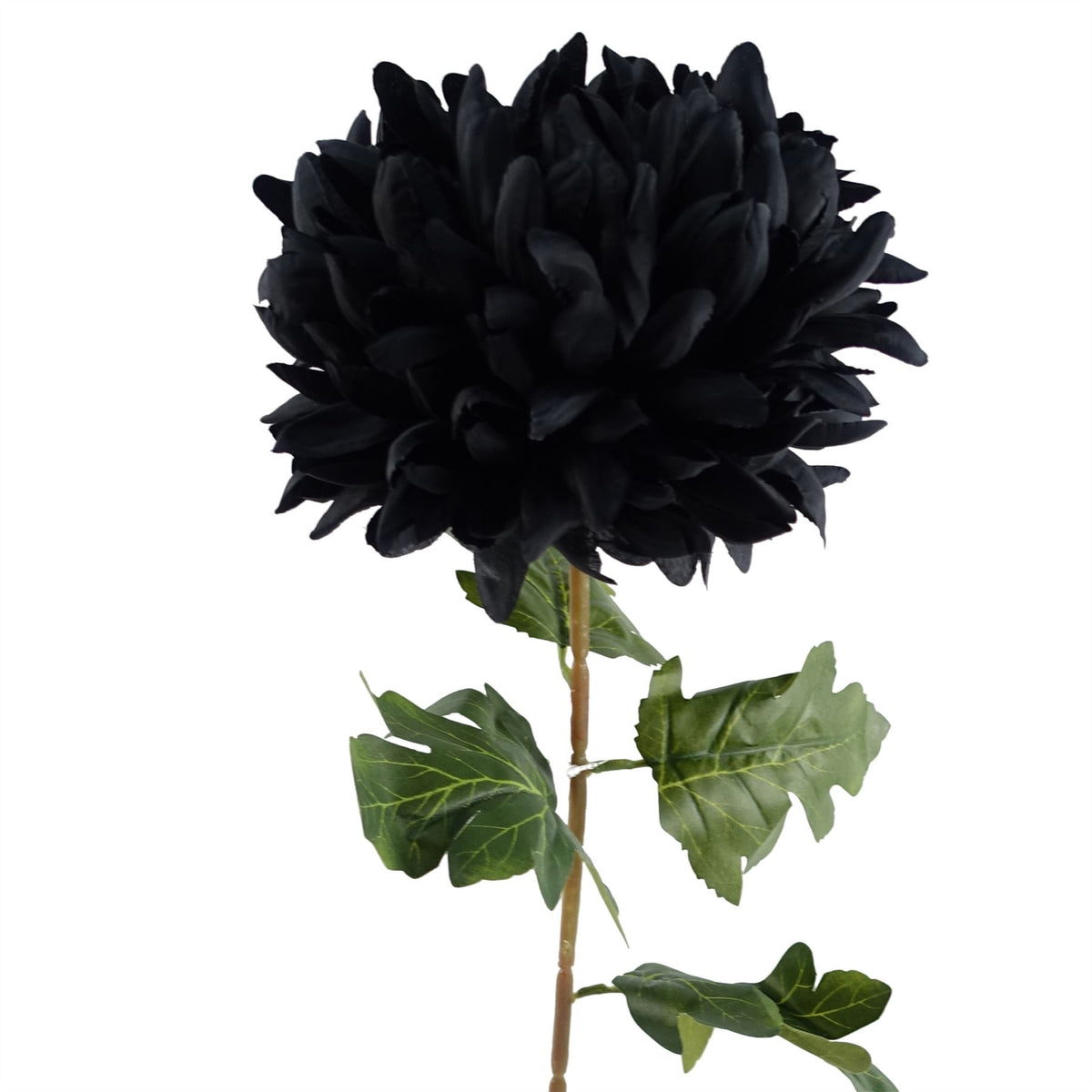 Leaf Design UK 75cm Extra Large Artificial Reflex Chrysanthemum with Silk Petals – Statement Single Stem, Black