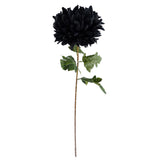 Leaf Design UK 75cm Extra Large Artificial Reflex Chrysanthemum with Silk Petals – Statement Single Stem, Black