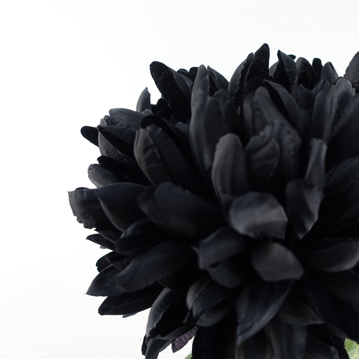 Leaf Design UK 75cm Extra Large Artificial Reflex Chrysanthemum with Silk Petals – Statement Single Stem, Black
