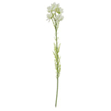 75cm White Starflower Display Ombre Glass Vase