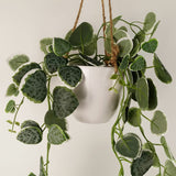 90cm Artificial Potted Trailing Hanging Natural Look Plant Realistic – String of Hearts
