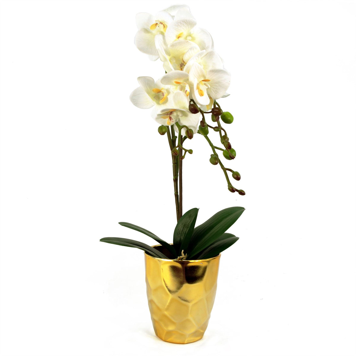 54cm Artificial Orchid Plant – White with Gold Pot