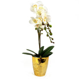 54cm Artificial Orchid Plant – White with Gold Pot