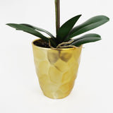 54cm Artificial Orchid Plant – White with Gold Pot
