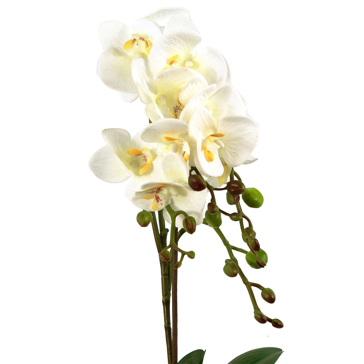 54cm Artificial Orchid Plant – White with Gold Pot