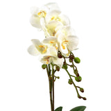 54cm Artificial Orchid Plant – White with Gold Pot