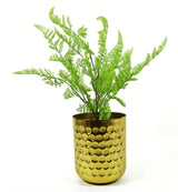 Leaf Design Pack of 6 Artificial Southern Wood Fern Bushes, 50cm – Dark Green, Unpotted