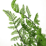 Leaf Design Pack of 6 Artificial Southern Wood Fern Bushes, 50cm – Dark Green, Unpotted