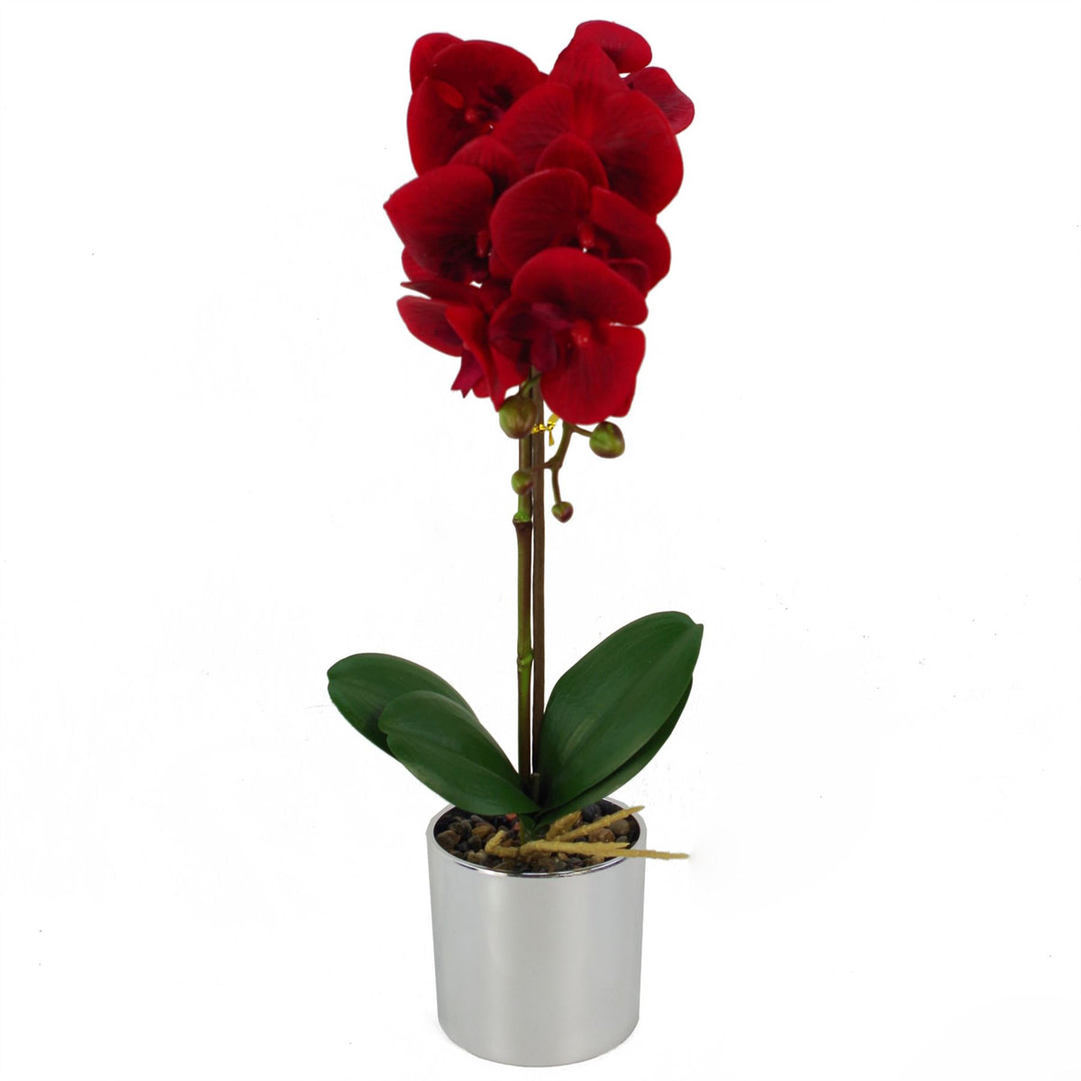 Leaf Design 46cm Artificial Orchid – Red Real Touch Flowers in Decorative Silver Pot