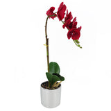 Leaf Design 46cm Artificial Orchid – Red Real Touch Flowers in Decorative Silver Pot