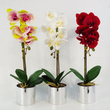 Leaf Design 46cm Artificial Orchid – Red Real Touch Flowers in Decorative Silver Pot