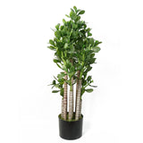 Artificial Deluxe 75cm Green Jade Plant