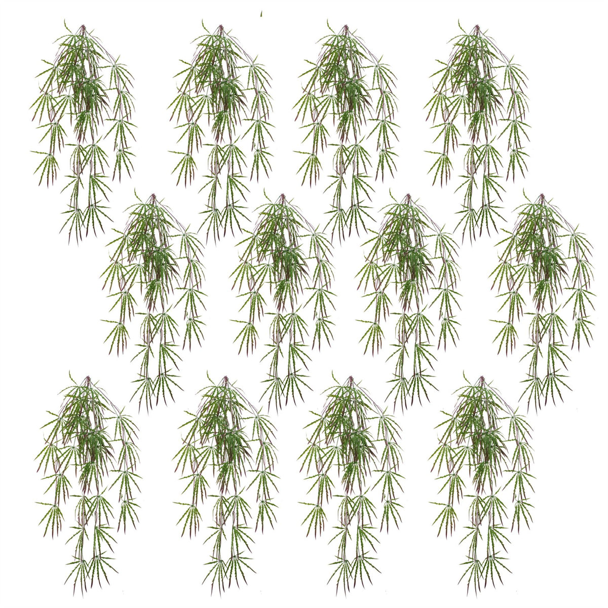 Pack of 12 x 100cm Artificial Hanging Acer Spider Plant