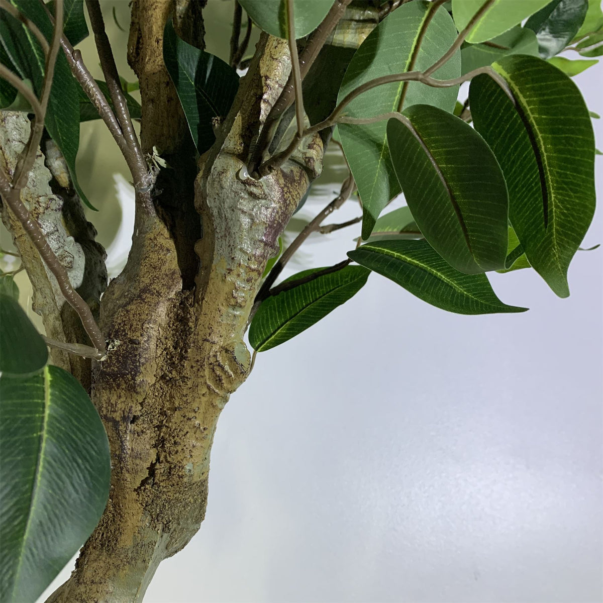 Leaf 100cm Premium Artificial Ficus Twist Tree – Realistic Potted Indoor Plant with Twisted Trunk