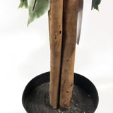 Leaf 130cm Tall Bushy Artificial Ficus Tree with Variegated White and Green Leaves – Potted Plant