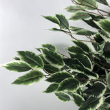 Leaf 130cm Tall Bushy Artificial Ficus Tree with Variegated White and Green Leaves – Potted Plant