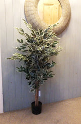 Leaf 130cm Tall Bushy Artificial Ficus Tree with Variegated White and Green Leaves – Potted Plant