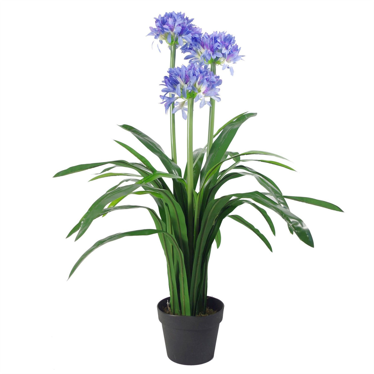 Leaf 90cm Premium Artificial Agapanthus Plant in Weighted Pot – Realistic Flower Tree, Powder Blue