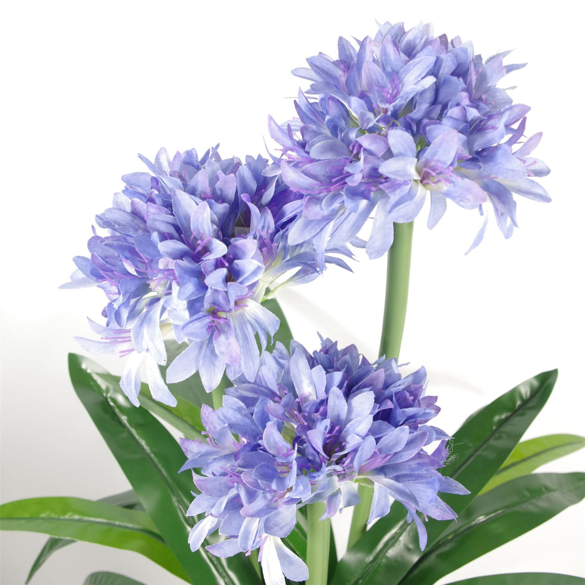 Leaf 90cm Premium Artificial Agapanthus Plant in Weighted Pot – Realistic Flower Tree, Powder Blue