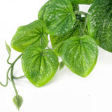 35cm Artificial Trailing Green Potted Pothos Plant