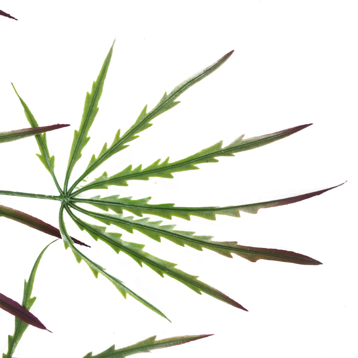 Pack of 12 x 100cm Artificial Hanging Spider Plant