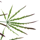 Pack of 12 x 100cm Artificial Hanging Spider Plant