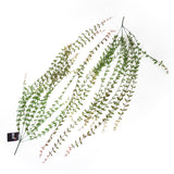 Leaf Artificial Hanging Extra Long String of Pearls Plant, 120cm – Trailing Realistic Foliage