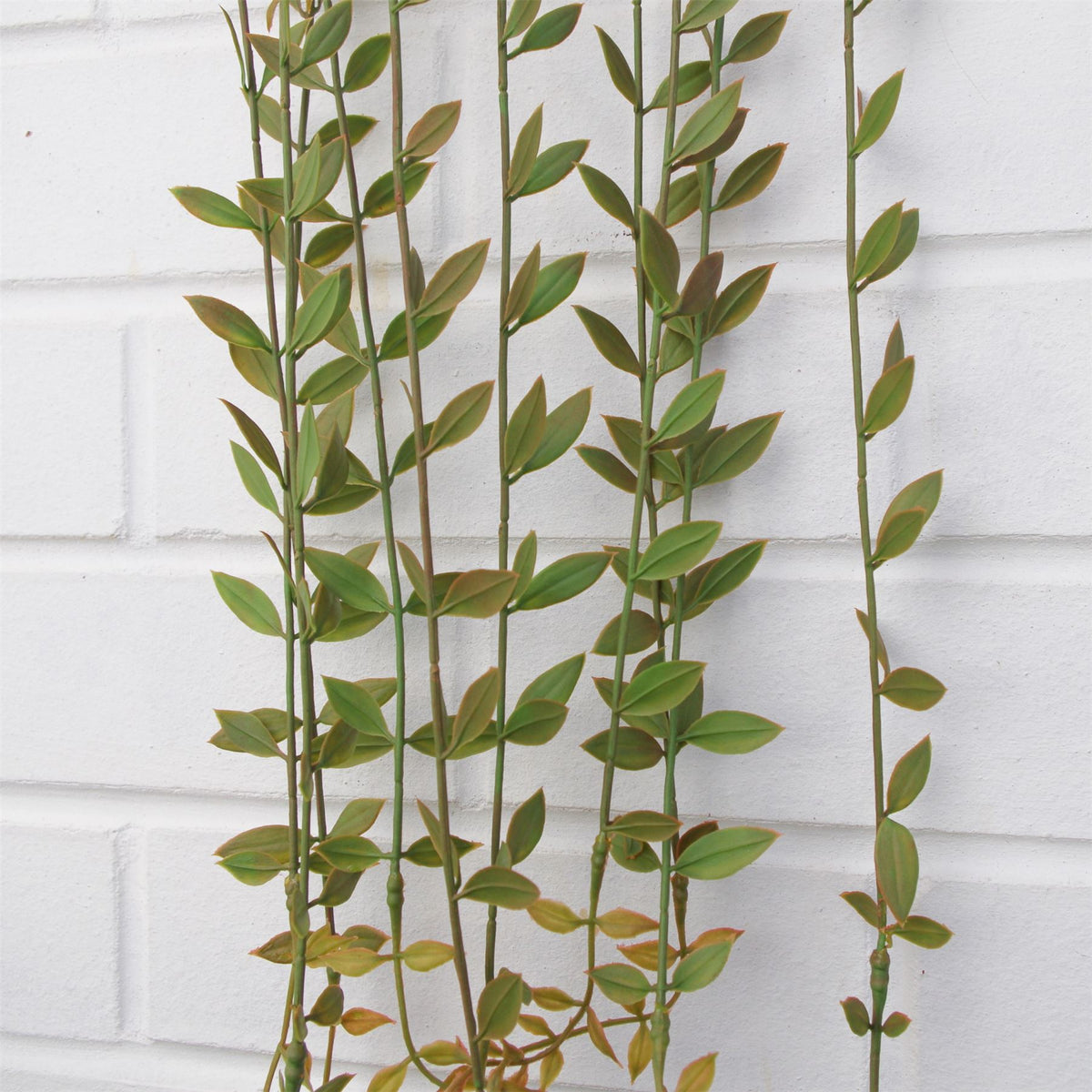 Leaf Artificial Hanging Extra Long String of Pearls Plant, 120cm – Trailing Realistic Foliage