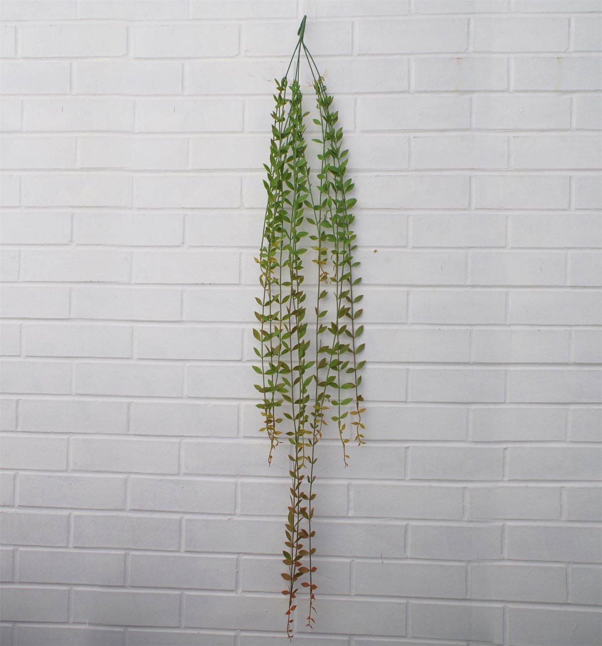 Leaf Pack of 12 Artificial Hanging String of Pearls Plants, 120cm – Extra Long Trailing Foliage for Displays
