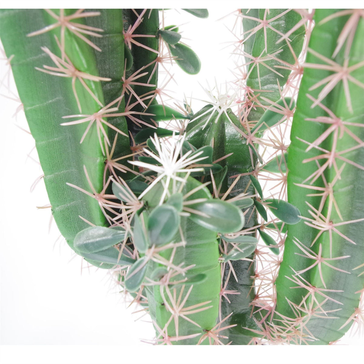 Leaf Premium Artificial Tropical Cactus with Weighted Pot, 75cm – Wired Stems, Fully Assembled