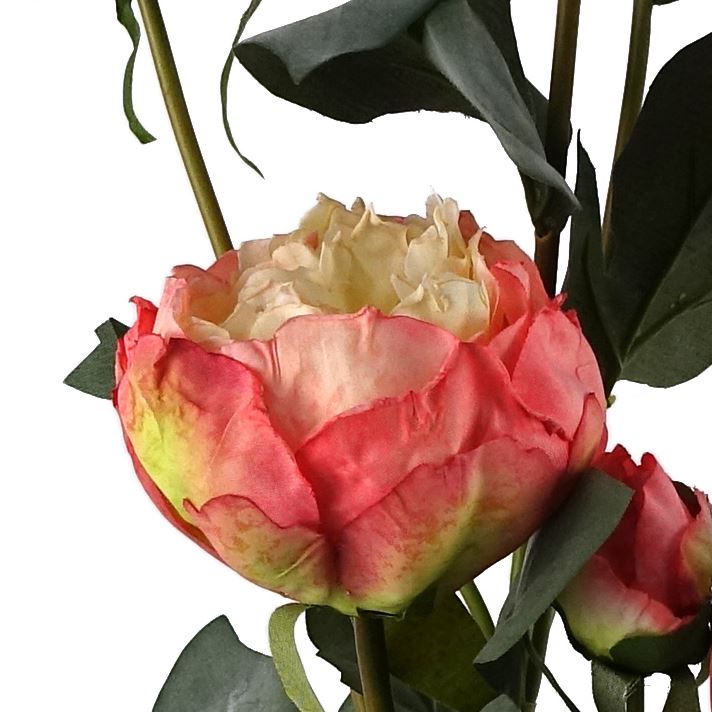 6 x 55cm Pink Peony Artificial Flower Stems – 24 flowers 18 buds