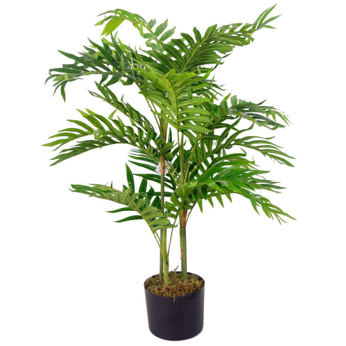 Leaf Realistic Artificial Areca Palm Tree, 80cm in Black Plastic Pot – Wired Stems, Ready to Display