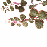 90cm Artificial Potted Trailing Hanging Pink Plant Realistic – String of Hearts