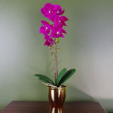 Leaf 46cm Artificial Orchid with 6 Real Touch Flowers – Dark Pink in Gold Decorative Pot