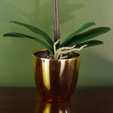 Leaf 46cm Artificial Orchid with 6 Real Touch Flowers – Dark Pink in Gold Decorative Pot