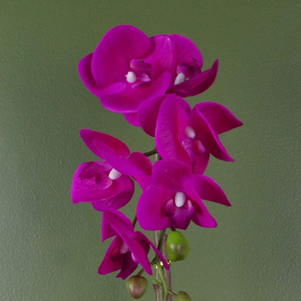 Leaf 46cm Artificial Orchid with 6 Real Touch Flowers – Dark Pink in Gold Decorative Pot
