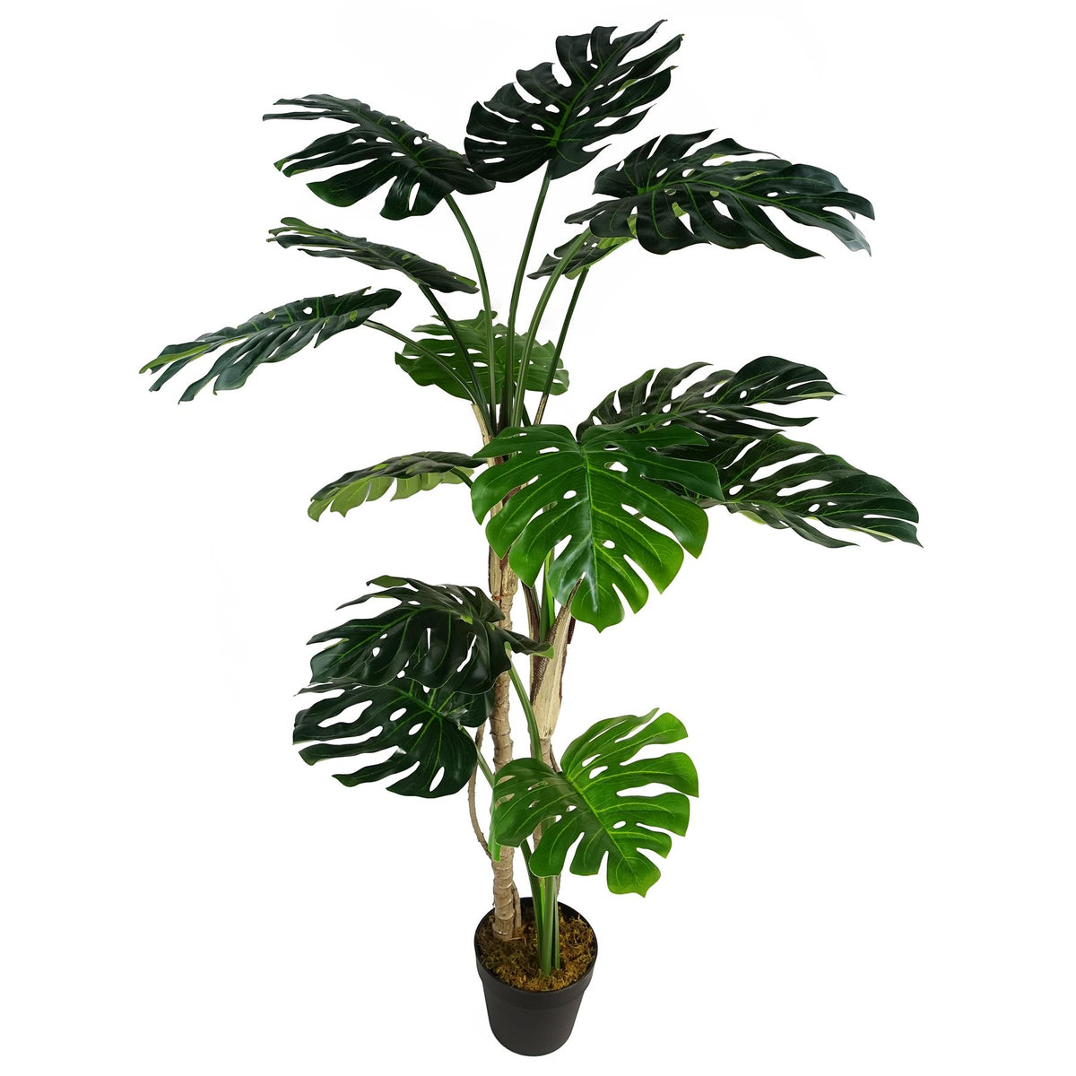 Leaf Luxury Artificial Monstera Plant, 150cm (5ft) in Black Pot – Realistic Statement Houseplant