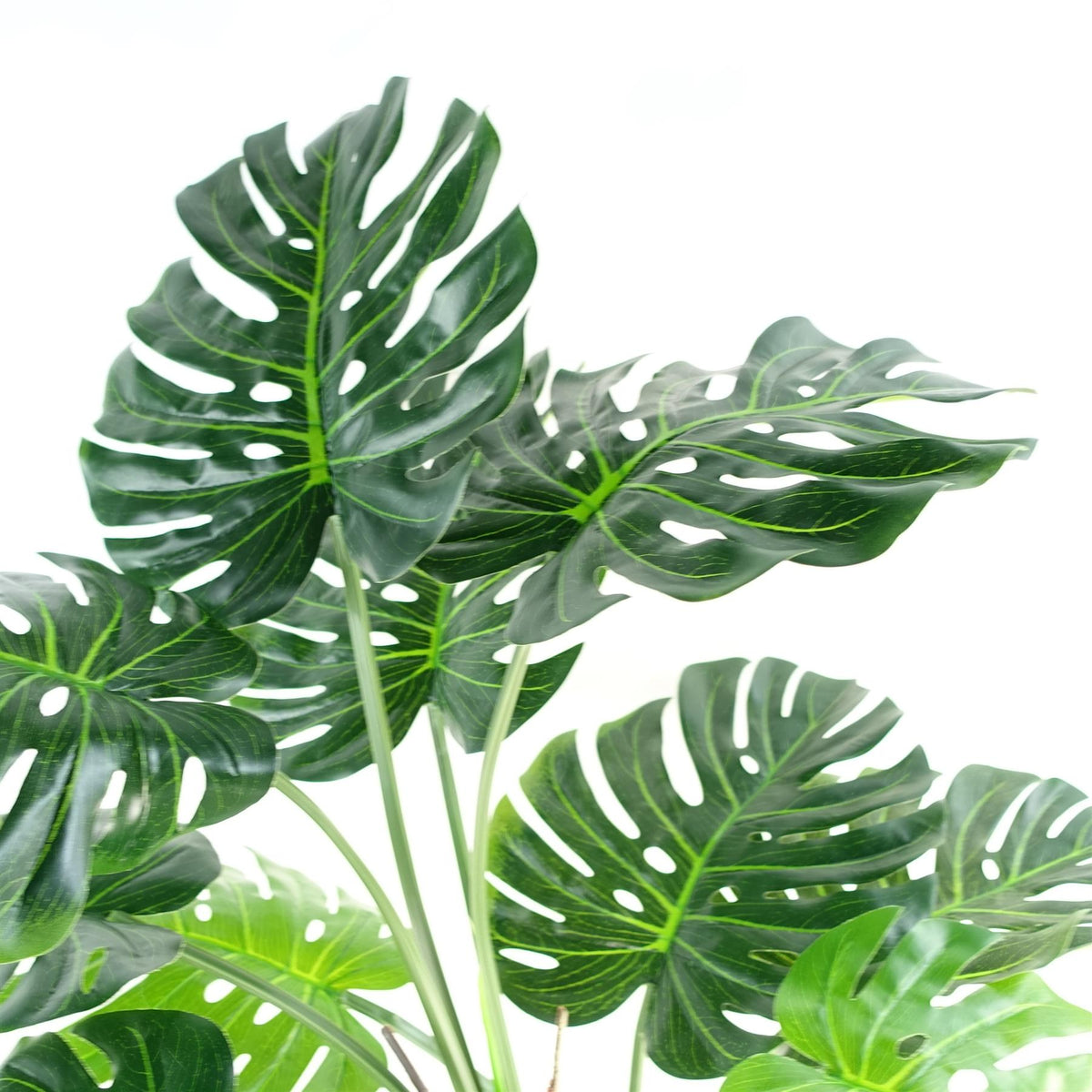 Leaf Luxury Artificial Monstera Plant, 150cm (5ft) in Black Pot – Realistic Statement Houseplant