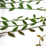 Leaf Pack of 12 Artificial Hanging String of Pearls Plants, 120cm Extra Long – Faux Trailing Foliage